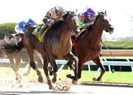 THRILLING LAFAYETTE STAKES VICTORY! TROUBLE CALLIN